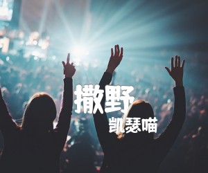 《撒野吉他谱》_凯瑟喵_C调_吉他图片谱5张