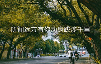 听闻远方有你