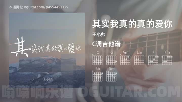 其实我真的真的爱你王小帅吉他谱