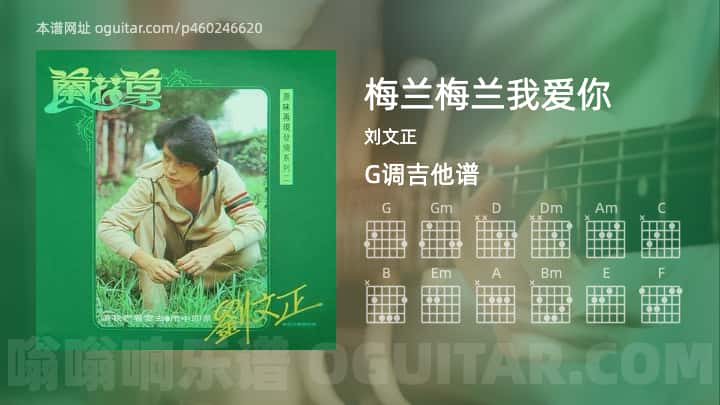 《梅兰梅兰我爱你》吉他谱,简单G调弹唱教学,原版刘文正歌曲,5张六线指弹简谱图