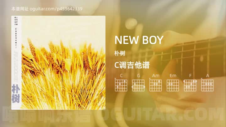 《NEW BOY》吉他谱,简单C调弹唱教学,原版朴树歌曲,5张六线指弹简谱图