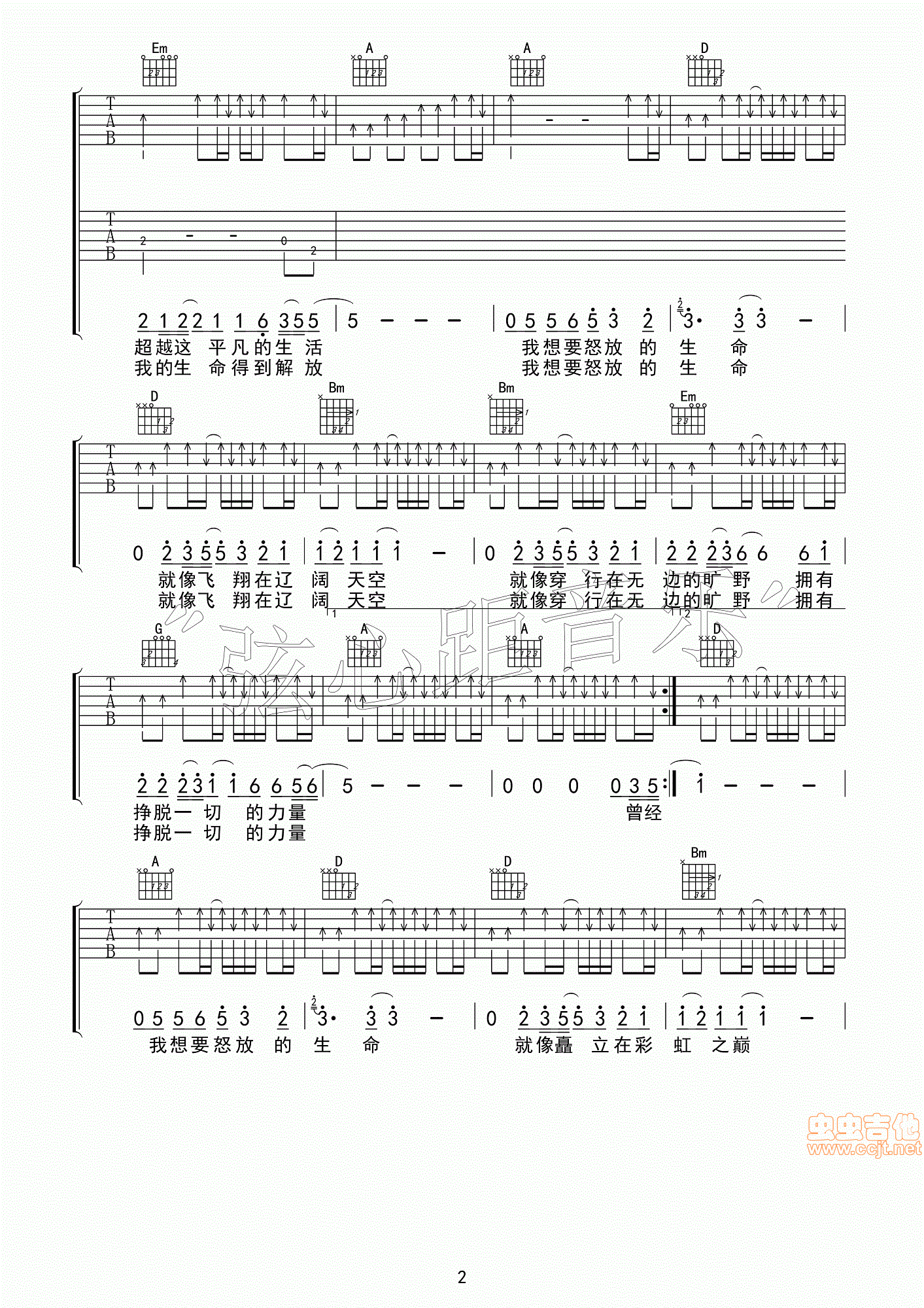 怒放的生命吉他谱第2页