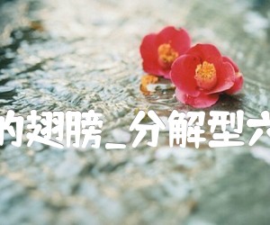 《天使的翅膀吉他谱》_安琥_分解型六线谱_G调_吉他图片谱2张