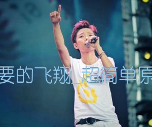 《我要的飞翔吉他谱》_许飞_超简单原版_G调_吉他图片谱3张
