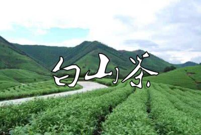 白山茶F调吉他谱,简单F调原版弹唱曲谱,陈雪凝高清六线谱简谱