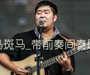 《斑马斑马吉他谱》_宋冬野_带前奏间奏尾奏_C调_吉他图片谱3张