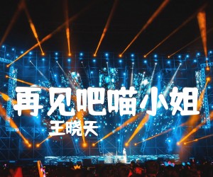 《再见吧喵小姐吉他谱》_王晓天_C调_吉他图片谱3张
