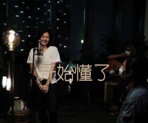 《开始懂了吉他谱》_孙燕姿_C调_吉他图片谱3张