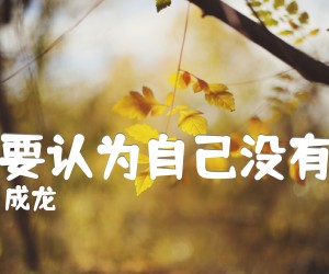 《不要认为自己没有用吉他谱》_成龙_简单扫弦_C调_吉他图片谱2张