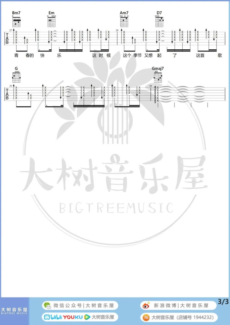 爸爸妈妈吉他谱弹唱教学演示大树音乐屋第(4)页