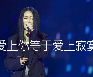 《爱上你等于爱上寂寞吉他谱》_那英_G调_吉他图片谱2张