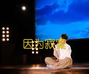 《因为寂寞吉他谱》_刘若英_D调_吉他图片谱4张