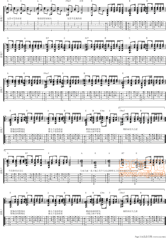 野菊花E调吉他谱第2页