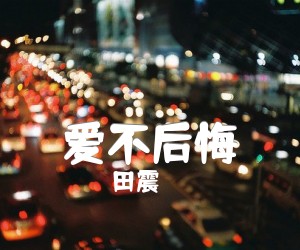 《爱不后悔吉他谱》_田震_E调_吉他图片谱4张