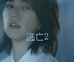《逃亡2吉他谱》_孙燕姿_C调_吉他图片谱1张