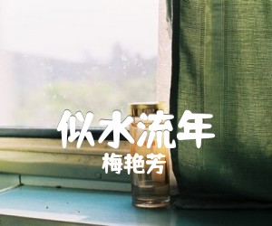 《似水流年吉他谱》_梅艳芳_G调_吉他图片谱1张