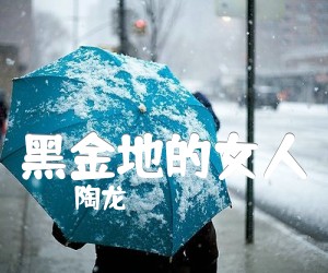 《黑金地的女人吉他谱》_陶龙_C调_吉他图片谱1张
