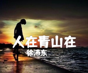 《人在青山在吉他谱》_徐沛东_B调_吉他图片谱1张