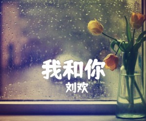 《我和你吉他谱》_刘欢_G调_吉他图片谱1张