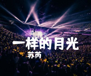 《一样的月光吉他谱》_苏芮_D调_吉他图片谱1张
