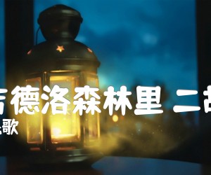 《在卡吉德洛森林里 二胡曲谱吉他谱》_波兰民歌_G调_吉他图片谱1张