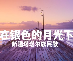 《在银色的月光下吉他谱》_新疆塔塔尔族民歌_C调_吉他图片谱1张