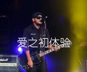 《爱之初体验吉他谱》_张震岳_G调_吉他图片谱2张