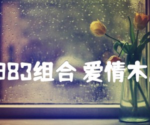 《1983组合 爱情木瓜吉他谱》_1983组合_D调_吉他图片谱3张