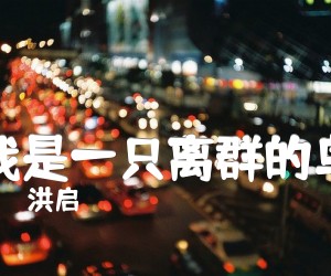《洪启 我是一只离群的鸟吉他谱》_洪启_G调_吉他图片谱2张
