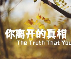 《你离开的真相吉他谱》_The Truth That You Leave_未知调_吉他图片谱2张