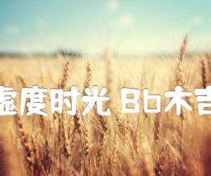 《我想和你虚度时光 Bb木吉他弹唱谱吉他谱》_程壁_B调_吉他图片谱5张