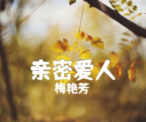 《亲密爱人吉他谱》_梅艳芳_F调_吉他图片谱3张