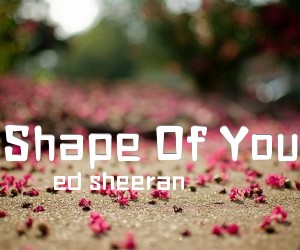《Shape Of You吉他谱》_ed sheeran_C调_吉他图片谱2张