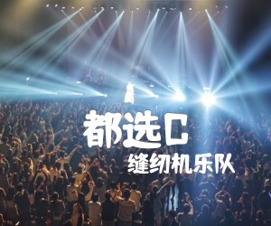 《都选C吉他谱》_缝纫机乐队_G调_吉他图片谱3张
