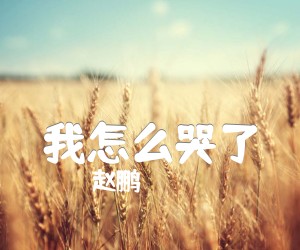 《我怎么哭了吉他谱》_赵鹏_C调_吉他图片谱1张