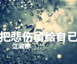 《把悲伤留给自己吉他谱》_江淑娜_C调_吉他图片谱4张
