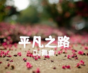 《平凡之路吉他谱》_DJ舞曲_G调_吉他图片谱2张