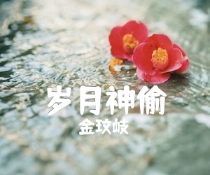 《岁月神偷吉他谱》_金玟岐_G调_吉他图片谱3张