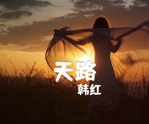 《天路吉他谱》_韩红_C调_吉他图片谱5张