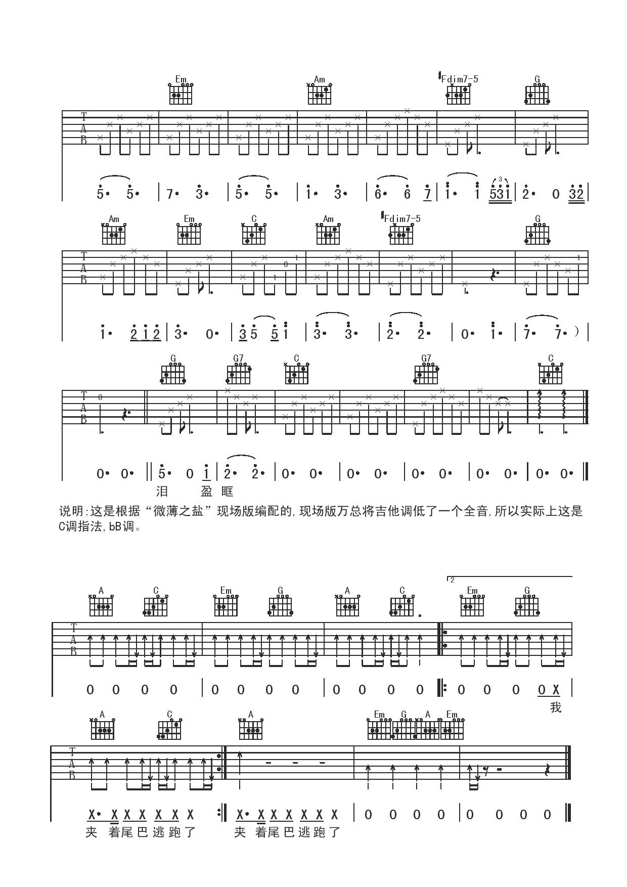 《达摩流浪者吉他谱》_万晓利_C调 图二