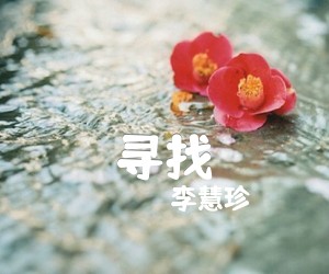 《寻找吉他谱》_李慧珍_G调_吉他图片谱3张