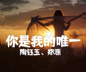 《你是我的唯一吉他谱》_陶钰玉、郑源_C调_吉他图片谱4张