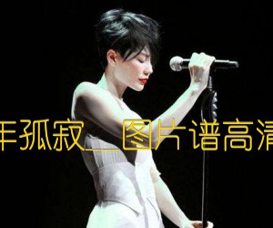 《百年孤寂吉他谱》_王菲__图片谱高清版_C调_吉他图片谱2张