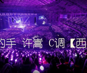 《我想牵着你的手 许嵩 C调【西二吉他制谱】吉他谱》_群星_C调_吉他图片谱1张