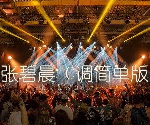 《下一秒 张碧晨 C调简单版【高清】吉他谱》_群星_C调_吉他图片谱1张