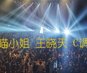 《再见吧喵小姐 王晓天 C调高清版吉他谱》_群星_C调_吉他图片谱1张