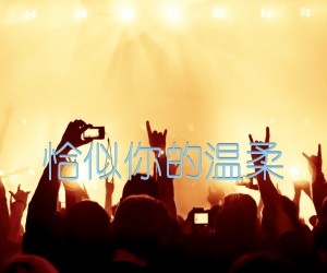 《恰似你的温柔吉他谱》_群星_C调_吉他图片谱1张