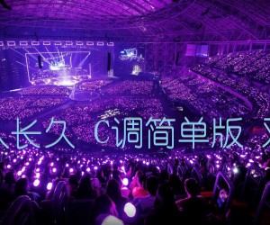 《但愿人长久 C调简单版 邓丽君吉他谱》_群星_C调_吉他图片谱1张