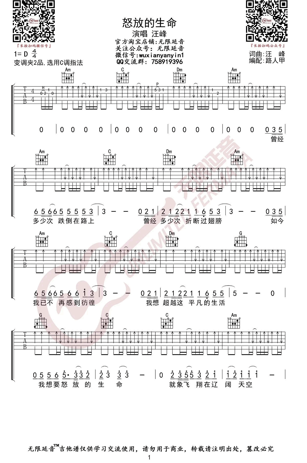 怒放的生命吉他谱,原版歌曲,简单D调弹唱教学,六线谱指弹简谱3张图