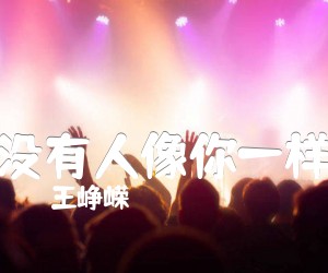 《没有人像你一样吉他谱》_王峥嵘_G调_吉他图片谱3张